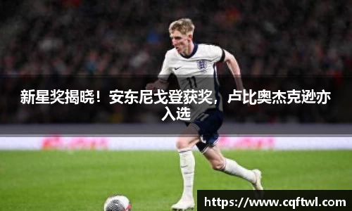 XK星空体育下载