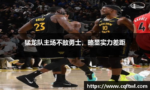 猛龙队主场不敌勇士，略显实力差距